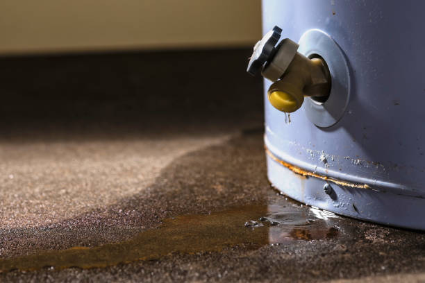 Water damage restoration mold remediation in SC