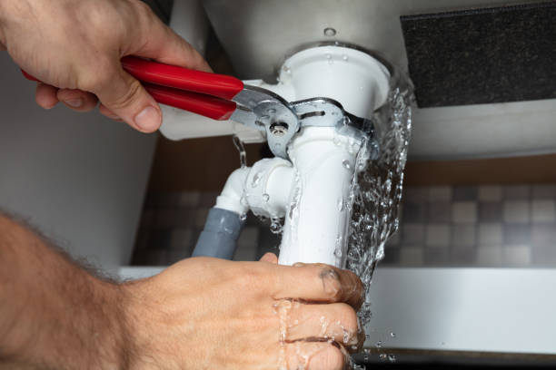 Best Mold removal after water damage  in Seabrook, SC