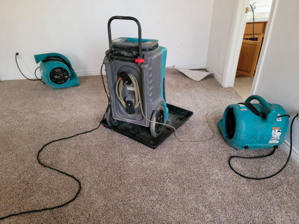 Best Sewage cleanup and water damage restoration  in Seabrook, SC
