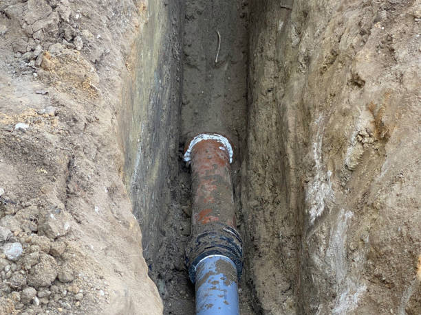 Best Flood restoration services  in Seabrook, SC