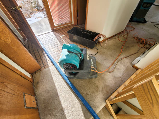 Best Mold removal after water damage  in Seabrook, SC