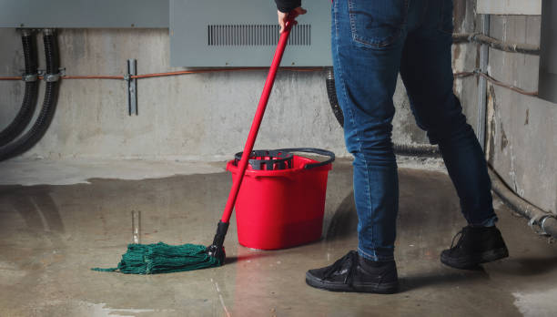 Best Residential water damage restoration  in Seabrook, SC
