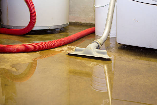 Best Commercial water damage restoration  in Seabrook, SC