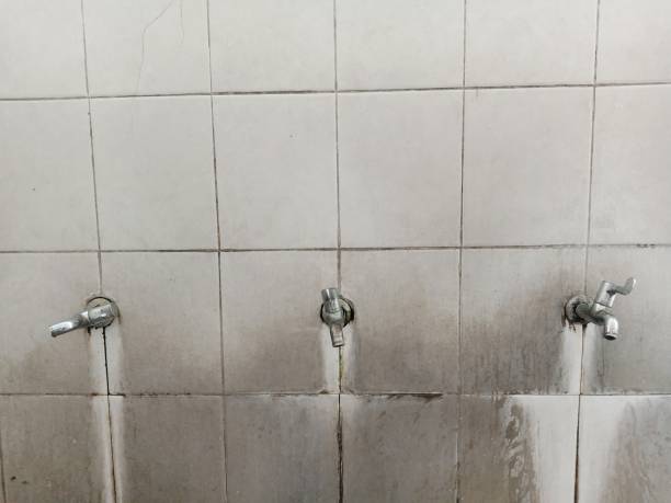 Best 24/7 water damage repair  in Seabrook, SC