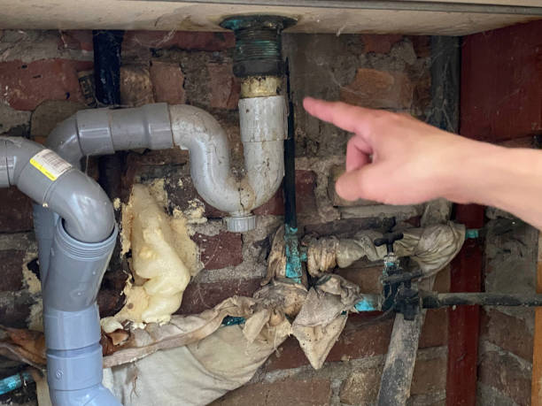 Best Water damage restoration process  in Seabrook, SC