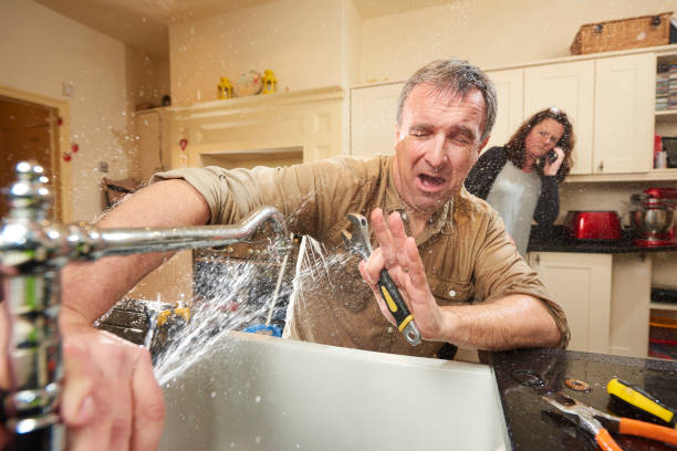 Best Professional water damage repair  in Seabrook, SC
